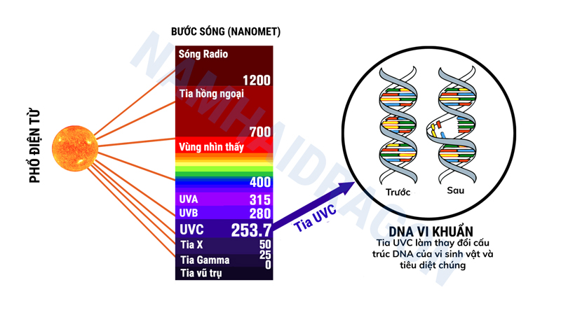 KHÁI QUÁT VỀ TIA CỰC TÍM ULTRAVIOLET (UV)